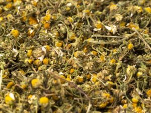 Chamomile of Iran